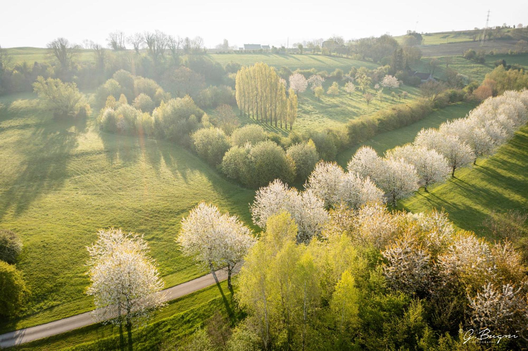 Cote Verger B&B Battice Bagian luar foto